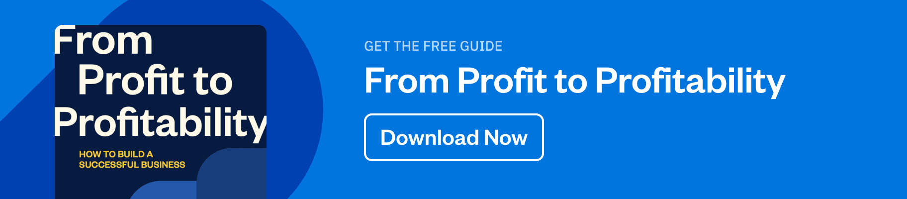Profit to Profitability eBook Ad
