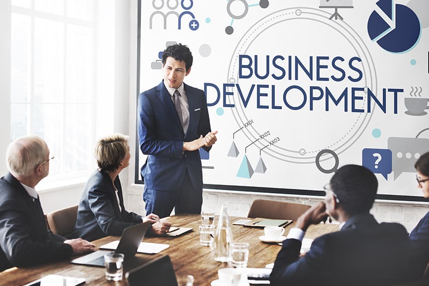 How to Write a Business Development Plan: A Step By Step Guide image