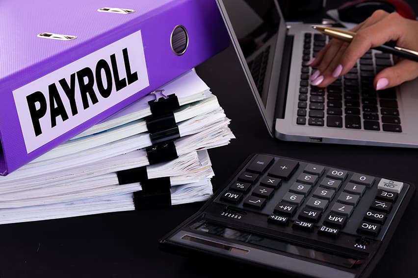 Payroll Ledger: What It Is and How to Create One image