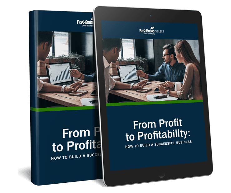 Taking You From Profit to Profitability image