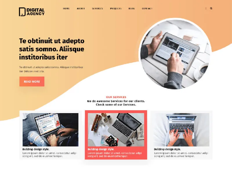 freelancer WordPress themes