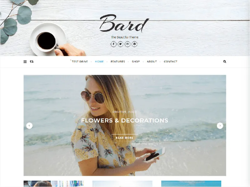 freelancer WordPress themes