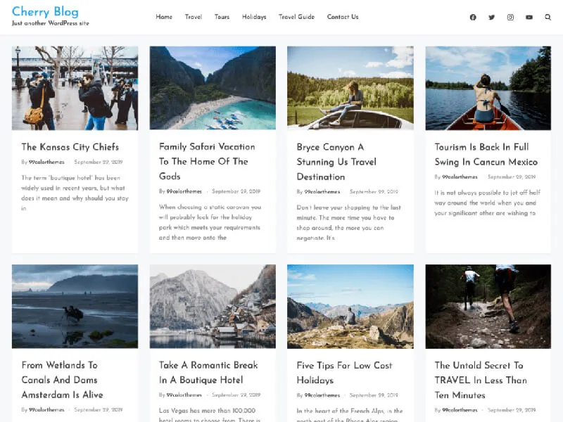 freelancer WordPress themes