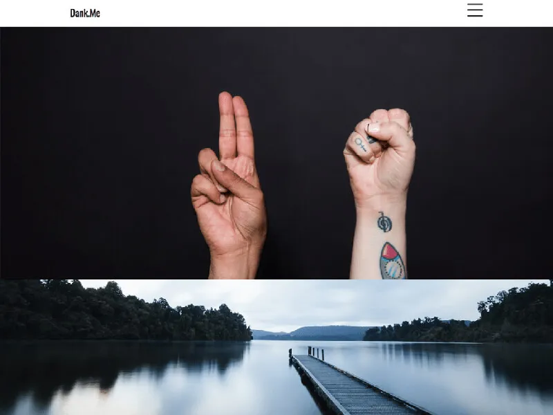 freelancer WordPress themes