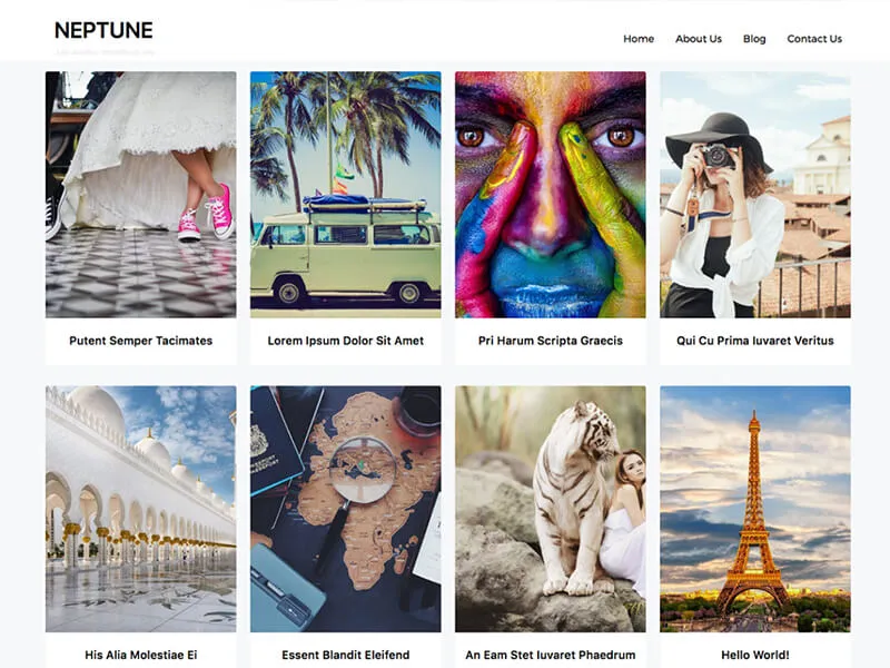 freelancer WordPress themes