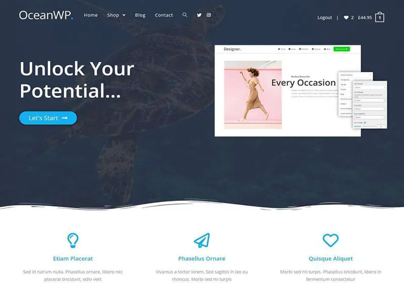 freelancer WordPress themes