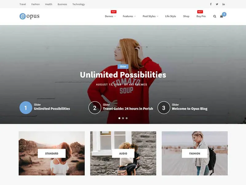 freelancer WordPress themes