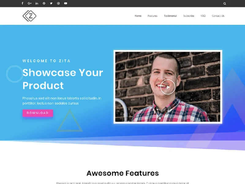 freelancer WordPress themes