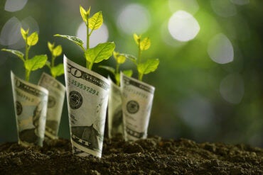 5 Steps to Achieve Sustainable Growth for Your Small Business