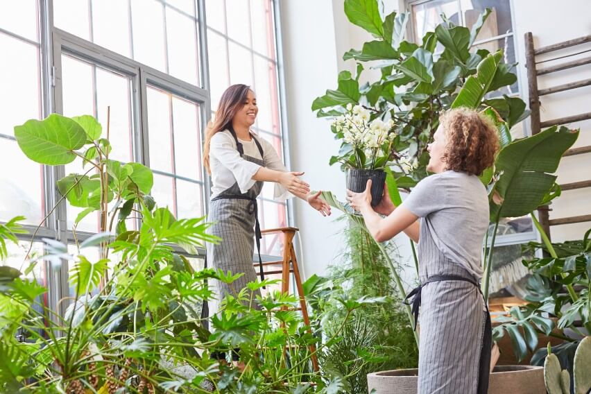 colleague handing another colleague a plant in a greenhouse