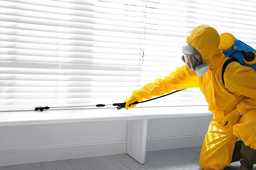 How to Start a Pest Control Business